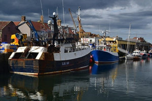 Top 20 Reasons To Visit Eyemouth